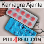 Kamagra Ajanta new14